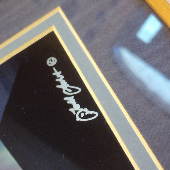 Todd Salat "Heaven & Earth" Original Framed and Signed Photograph - Picture 7 of 12